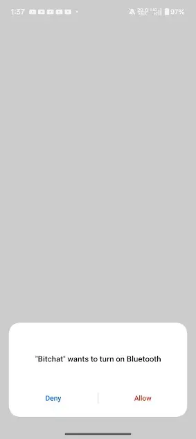 Screenshot of BitChat App Download